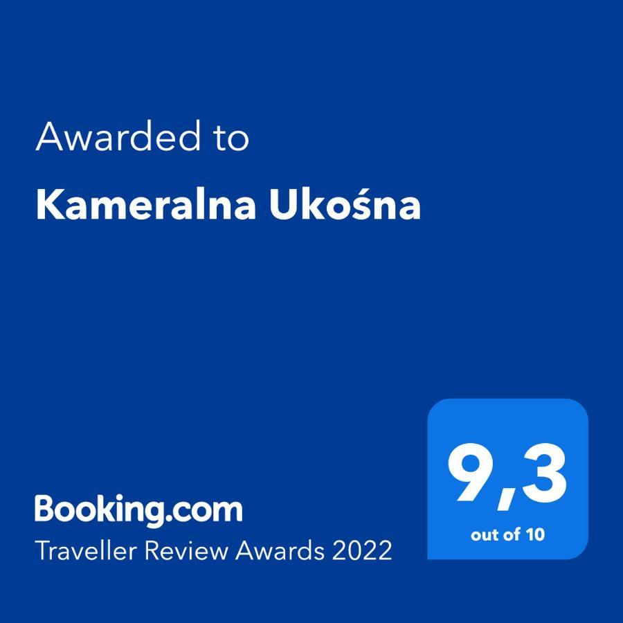 비아위스토크 Kameralna Ukosna 아파트 외부 사진